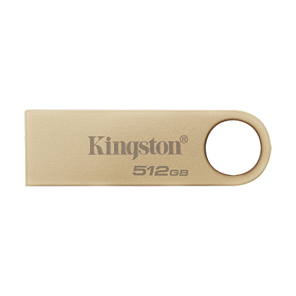 Kingston DataTraveler SE9 G3 (DTSE9G3/512GB)