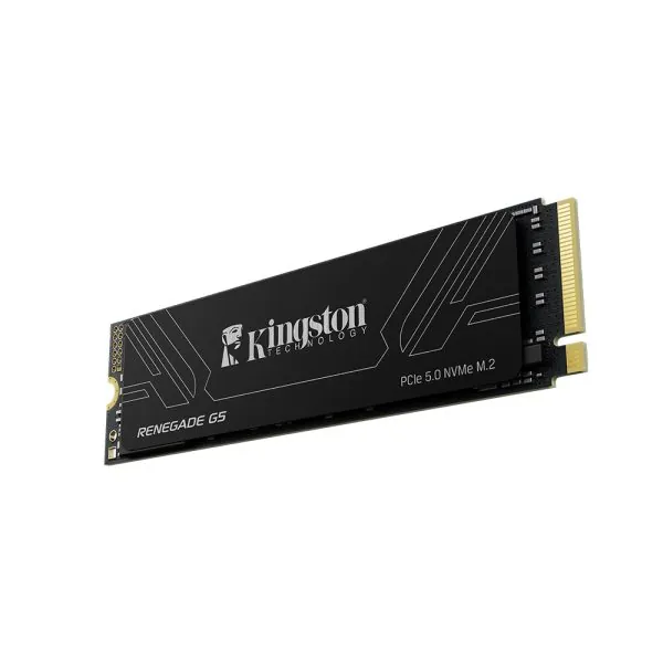 Kingston Renegade 1 TB NVMe Gen5 SSD 14200/11000 (SRNG2S/1T0)