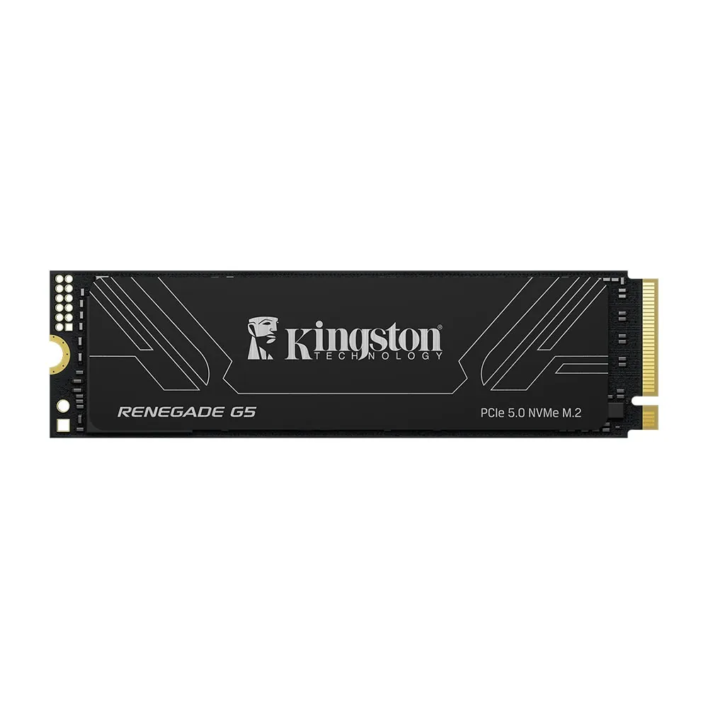 Kingston Renegade 4 TB NVMe Gen5 SSD 14800/14000 (SRNG2S/4T0)