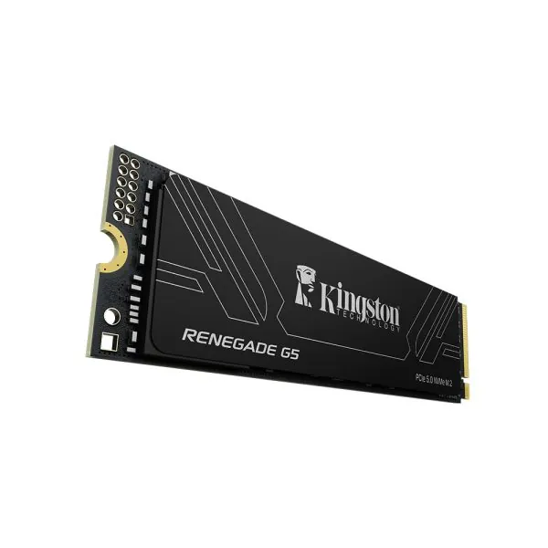 Kingston Renegade 4 TB NVMe Gen5 SSD 14800/14000 (SRNG2S/4T0)