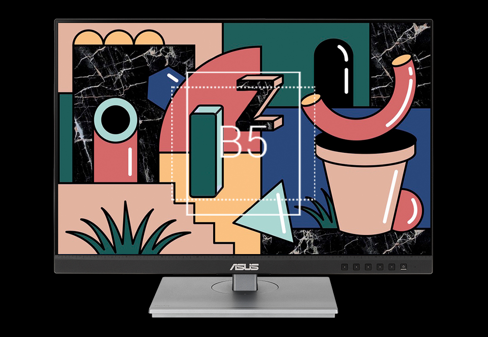 ProArt Display PA248CNV