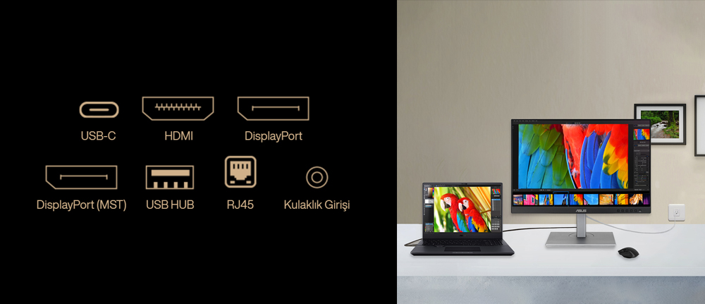 ProArt Display PA248CNV