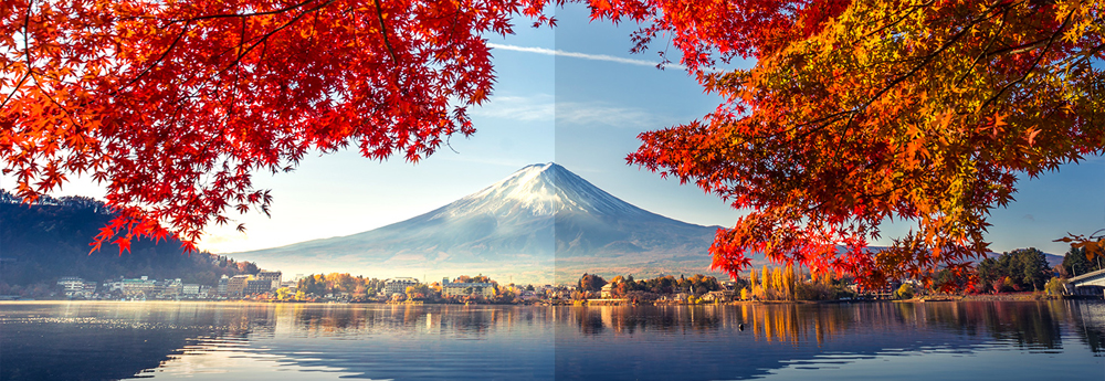 ProArt Display PA248CNV