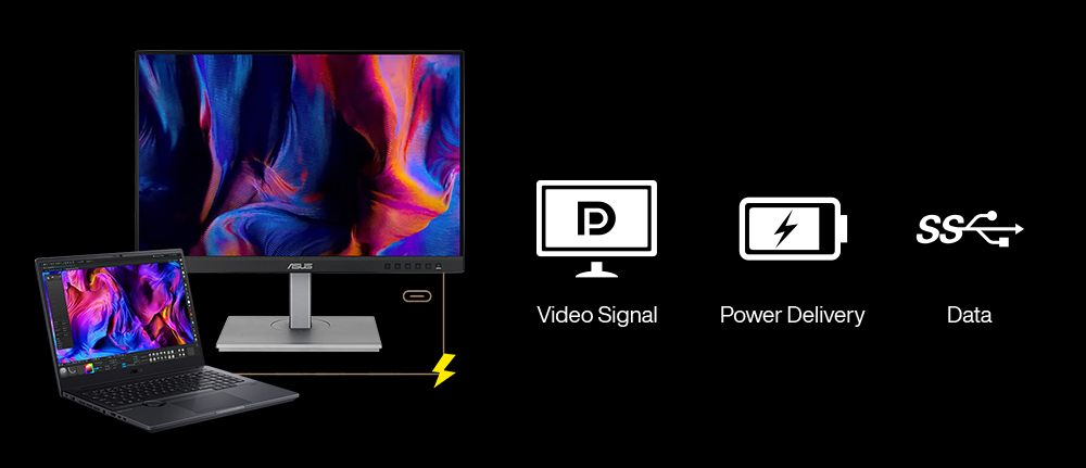 ProArt Display PA248CNV
